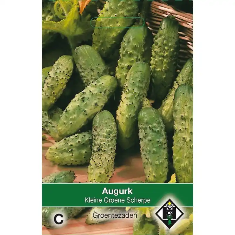 Vanaf nu beschikbaar | Augurk, Cucumis sativus ‘Hokus‘ -zaden-