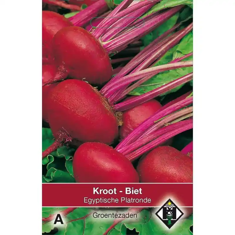 Biet - Kroot, Beta vulgaris ‘Egyptische Platronde‘ -zaden- - Beste prijs