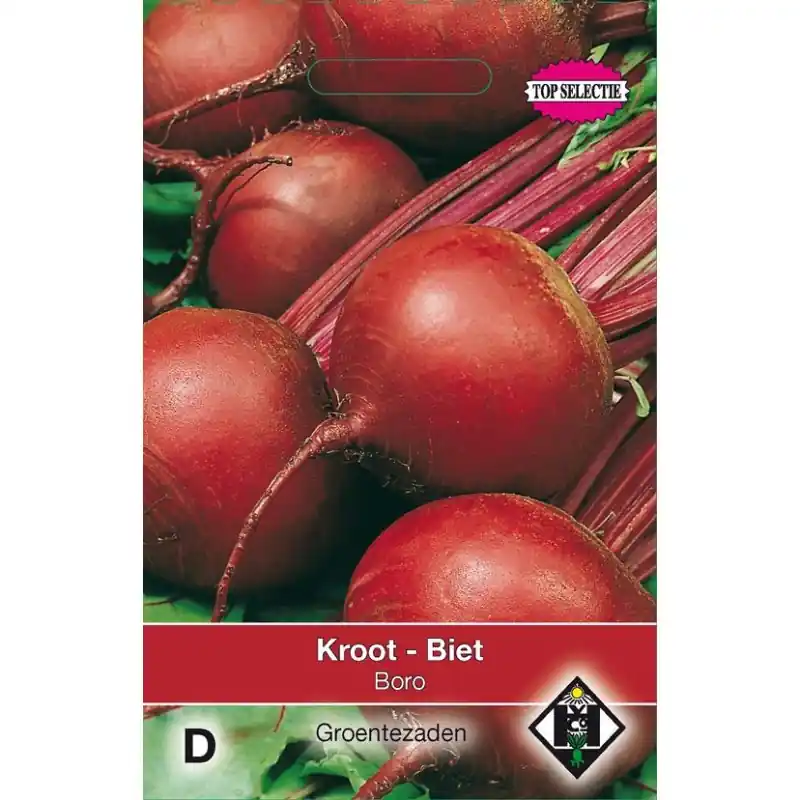 Nieuw product | Biet - Kroot, Beta vulgaris ‘Boro‘ -zaden-