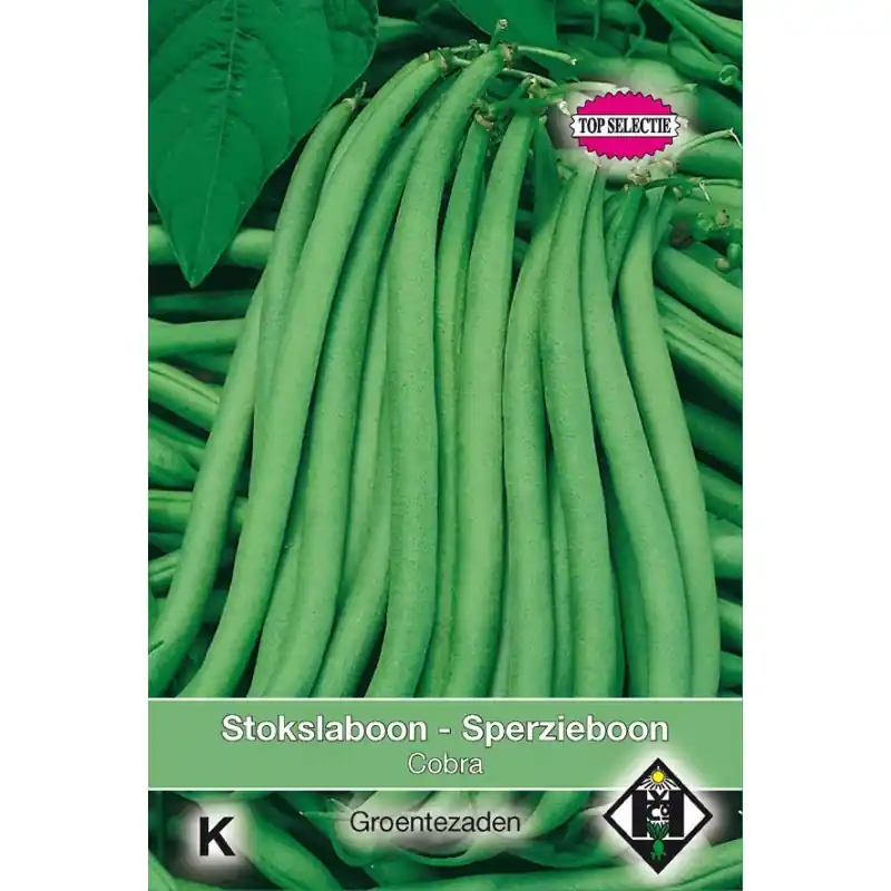 Stokslaboon - Sperzieboon, Phaseolus vulgaris ‘Cobra‘, 30 gr. -zaden- | Premiumkwaliteit