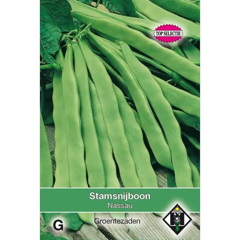 Stamsnijboon, Phaseolus vulgaris ‘Nassau‘, 50 gr. -zaden- - Bijna uitverkocht