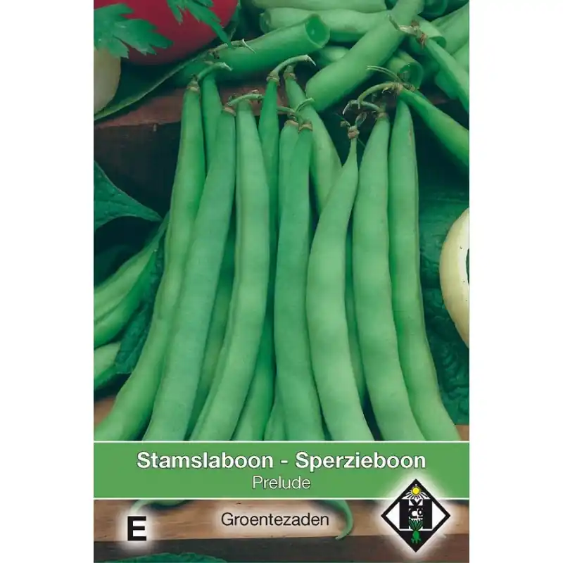 Stamslaboon, Phaseolus vulgaris ‘Prelude‘, 60 gr. -zaden- - Klaar voor verzending