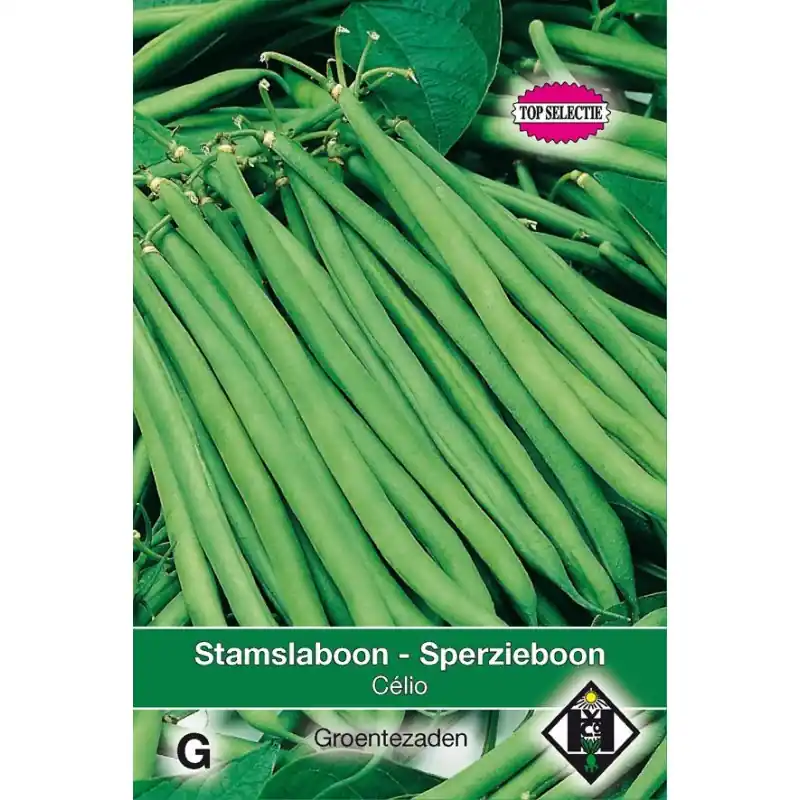 Stamslaboon - Sperzieboon, Phaseolus vulgaris Compass, 30 gr. -zaden- | Direct van de fabrikant