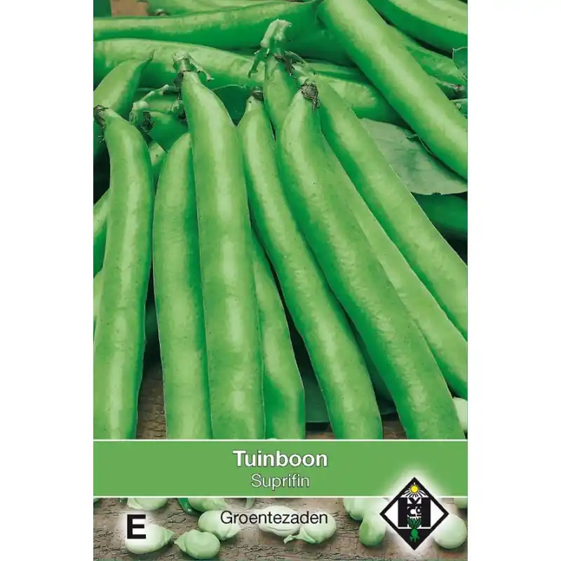Net toegevoegd | Tuinboon, Vica faba ‘Monica‘, 60 gr. -zaden-