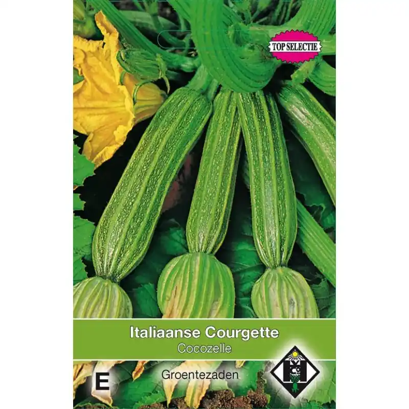 Outlet | Courgette, Cucurbita pepo ‘Cocozelle‘ -zaden-