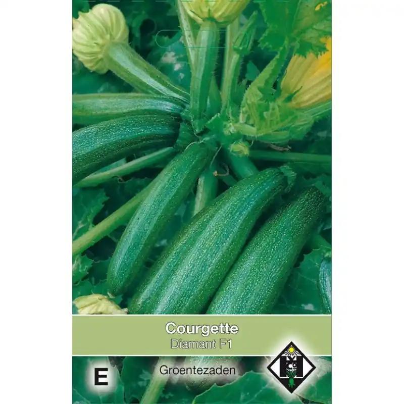 Courgette, Cucurbita pepo ‘Diamant F1‘ -zaden- - Korting