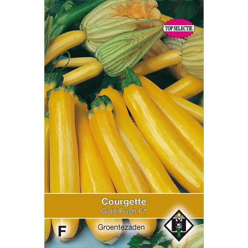 Hoog gewaardeerd - Courgette, Cucurbita pepo ‘Yellowstar F1‘ -zaden-