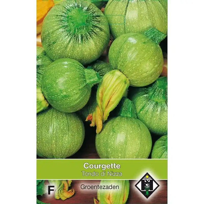 Nu beschikbaar - Courgette, Cucurbita pepo ‘Tondo di Nizza‘ -zaden-