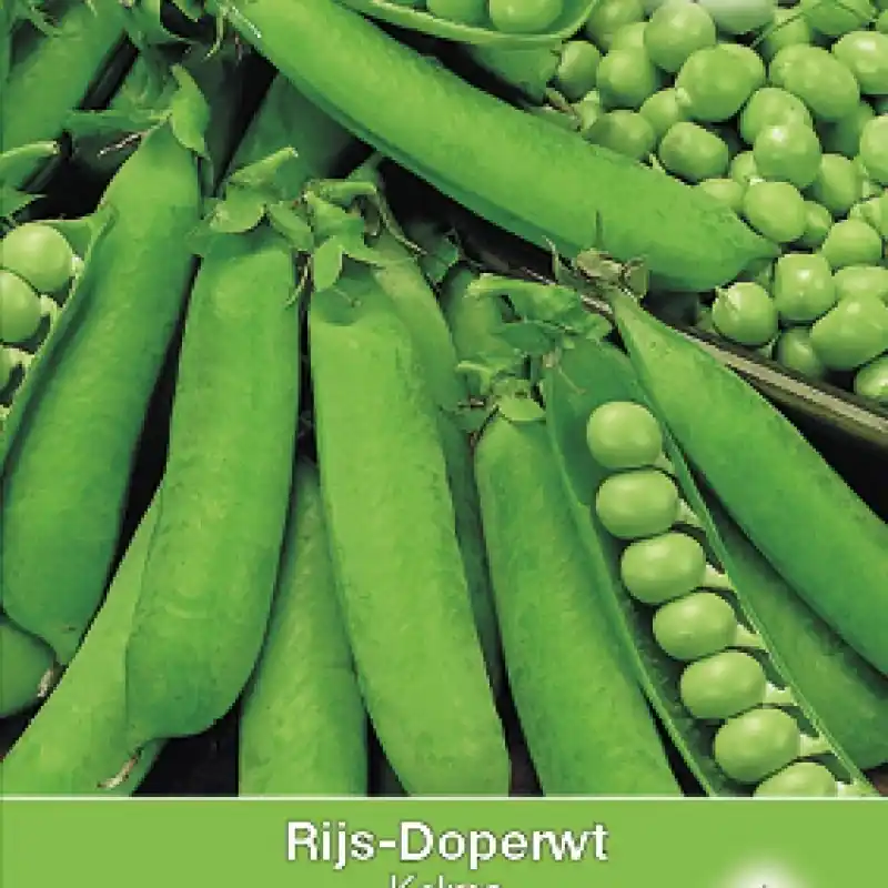 Rijsdoperwt Alexandra, 50 gr. -zaden- | Snelle verzending
