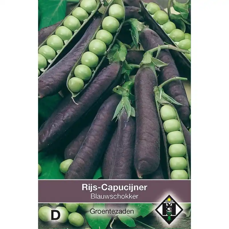 Rijscapucijner Pisum sativum ‘Blauwschokker‘, 50 gr. -zaden- | Mis het niet