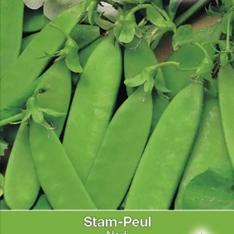 Stampeul, Pisium sativum ‘Norli‘ -zaden- - Verlaagde prijs