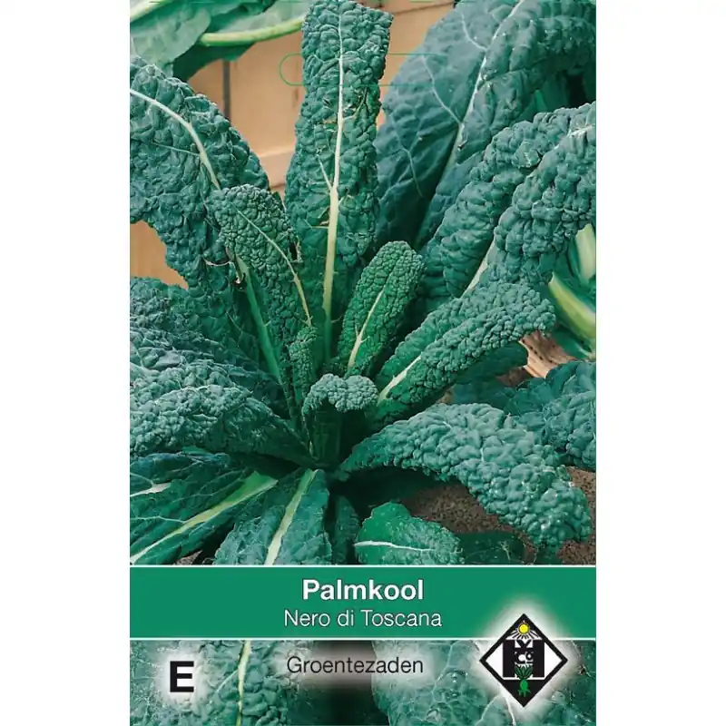 Palmkool, Brassica oleracea sabellica ‘Nero di Toscana‘ -zaden- - Bijna uitverkocht