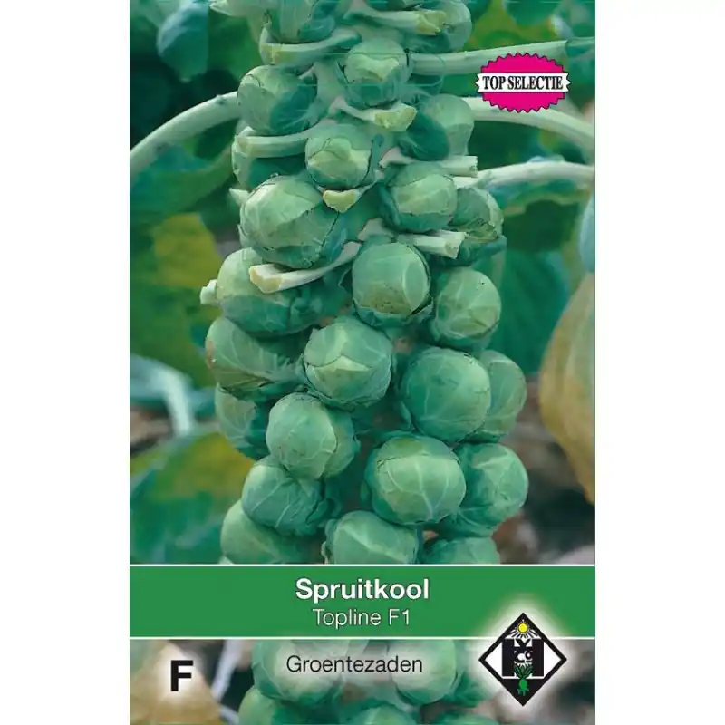 Spruitkool, Brassica oleracea gemmifera ‘Igor F1‘ -zaden- - Bestseller