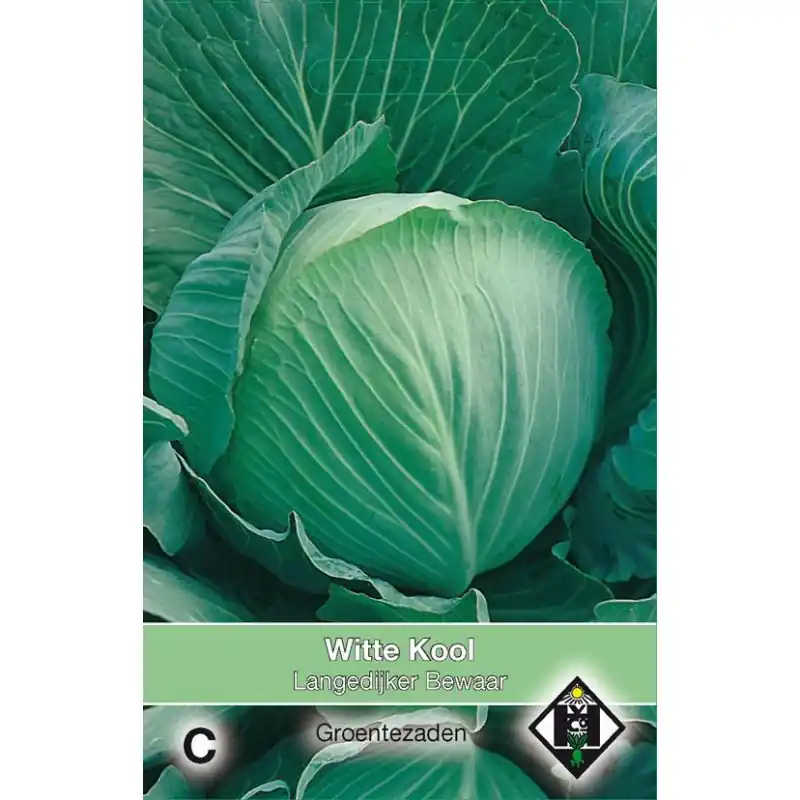 Nu kopen - Witte kool, Brassica oleracea alba ‘Langedijker Bewaar‘ -zaden-