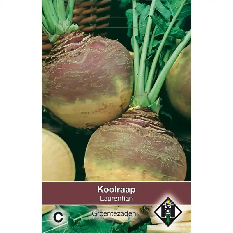 Koolraap, Brassica napus napobrassica ‘Laurentian‘ -zaden- - Deal