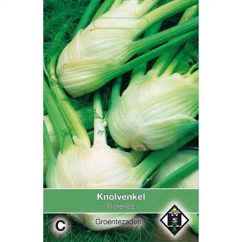 Dagdeal - Knolvenkel, Foeniculum vulgare ‘Florence‘ -zaden-