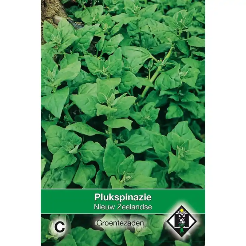 Plukspinazie, Tetragonia expansa ‘Nieuw Zeelandse‘ -zaden- - Bestel nu