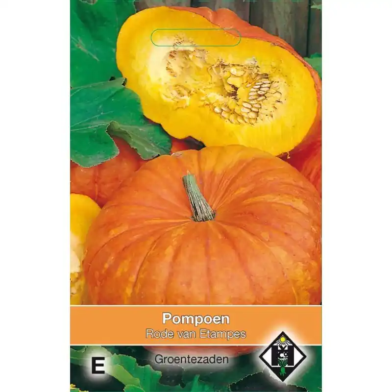Voorraad bijna op | Pompoen, Cucurbita maxima ‘Rode van Etampes‘ -zaden-