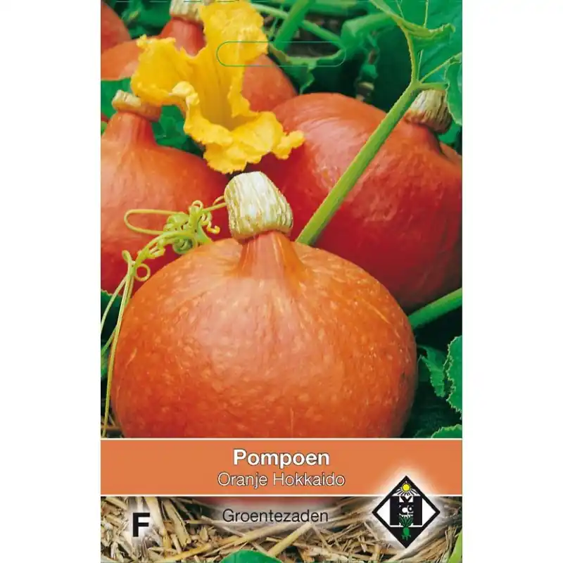Hoog gewaardeerd - Pompoen, Cucurbita maxima ‘Oranje Hokkaido‘ -zaden-