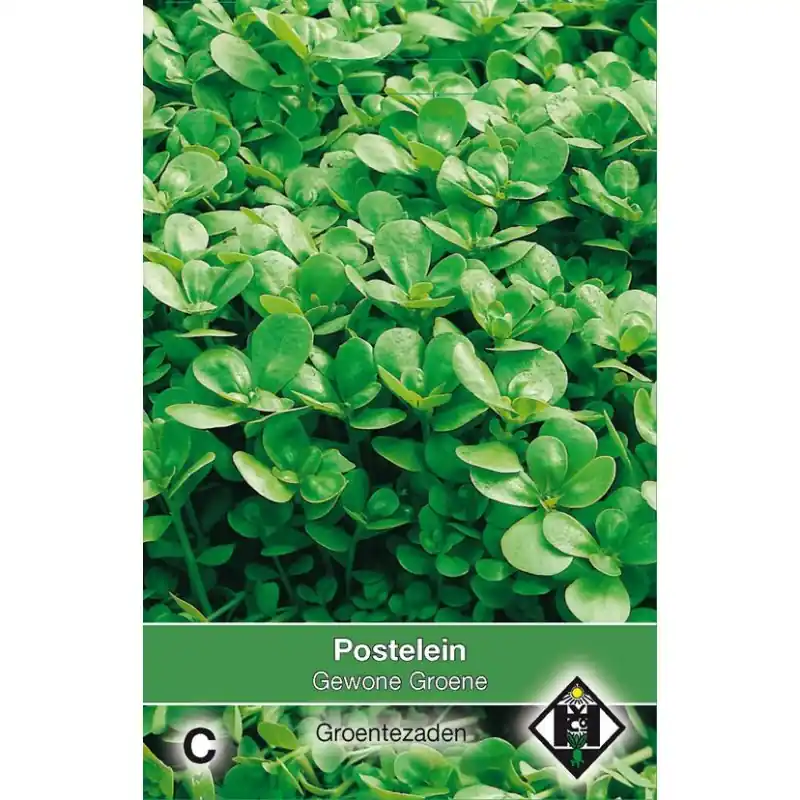 Postelein, Portulaca oleracea ‘Gewone Groene‘ -zaden- - Hoge kwaliteit
