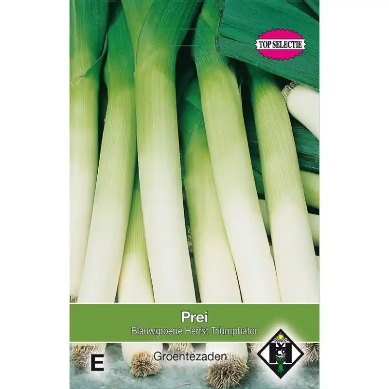 Prei, Allium porrum ‘Blauwgroene Herfst Porbella‘ -zaden- - Voeg toe aan winkelwagen