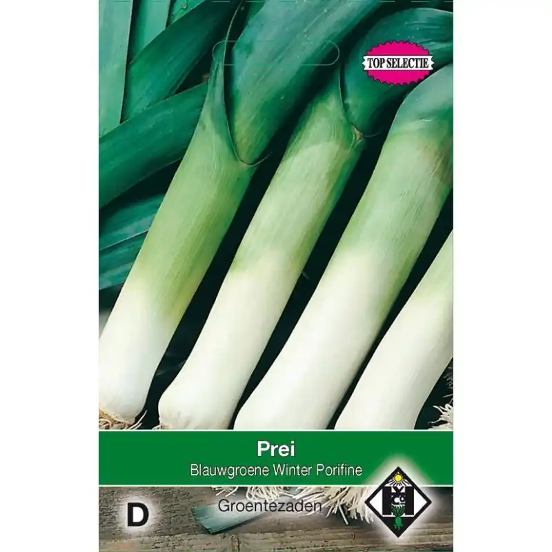 Rechtstreeks van de fabrikant - Prei, Allium porrum ‘Blauwgroene Winter Porilux‘ -zaden-
