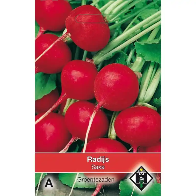 Radijs, Raphanus sativus ‘Saxa‘ -zaden- - Nieuw binnen