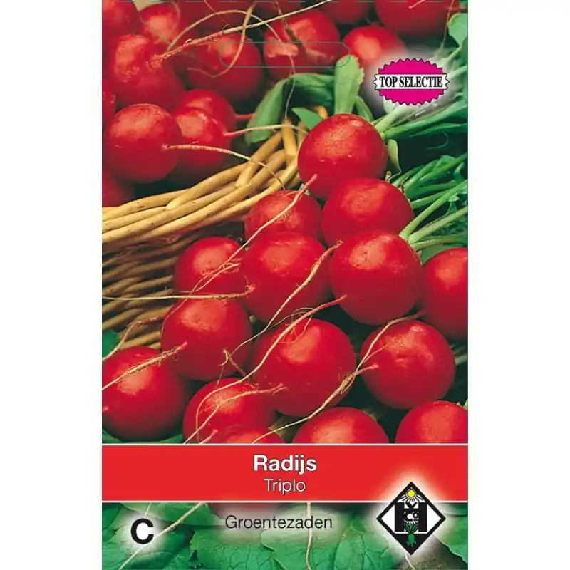 Radijs, Raphanus sativus ‘Raxe‘ -zaden- - Bestelbaar