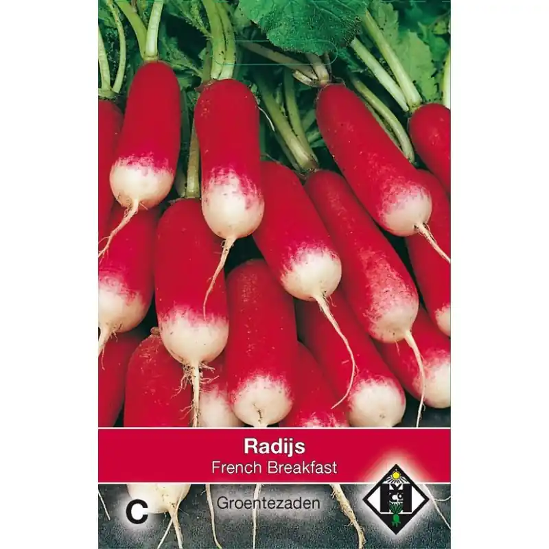 Radijs, Raphanus sativus ‘French Breakfast‘ -zaden- - Opruiming