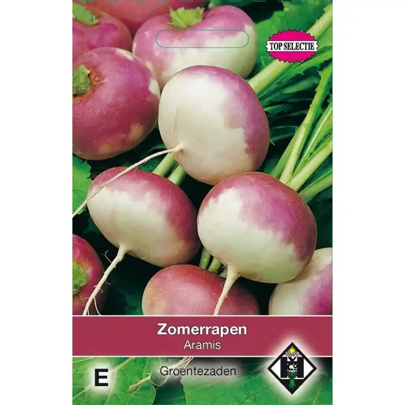 Zomerrapen, Brassica rapa ‘Aramis‘ -zaden- - Veel voordeel