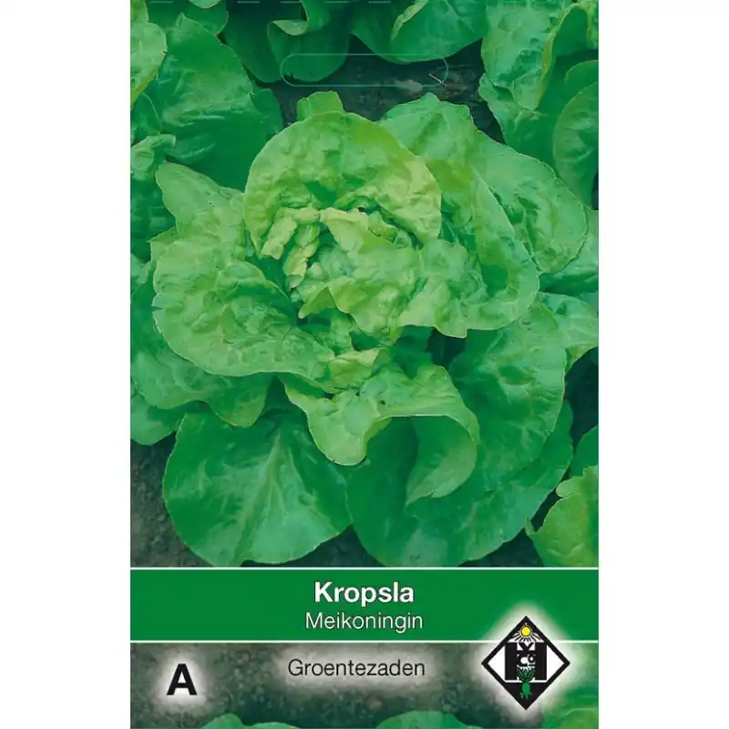 Speciale deal - Kropsla, Lactuca sativa ‘Meikoningin‘ -zaden-