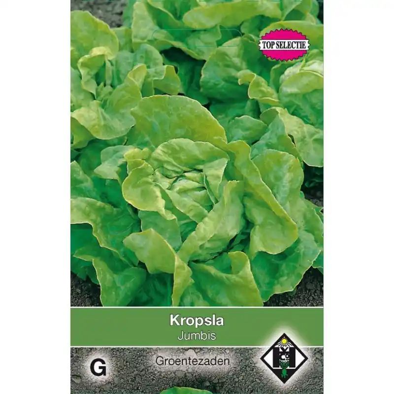 Online kopen - Kropsla, Lactuca sativa ‘Mercurion‘ -zaden-