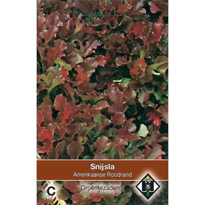 Snijsla, Lactuca sativa ‘Amerikaanse Roodrand‘ -zaden- | Voordeelprijs