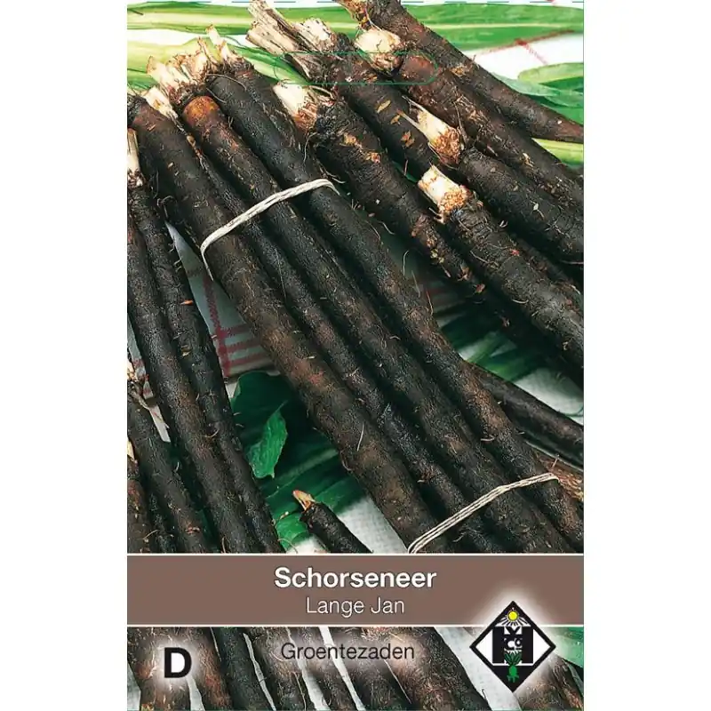 Schorseneer, Scorzonera hispanica ‘VRN-Enorma‘ -zaden- | Beste prijs