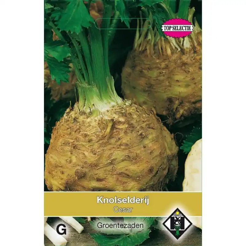 Bestel nu | Knolselderij, Apium graveolens ‘Neon‘ -zaden-