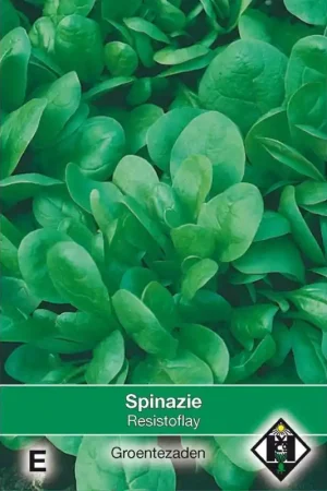 Zeer goed beoordeeld - Spinazie, Spinacea oleracea ‘Resistoflay‘, 35 gr. -zaden-