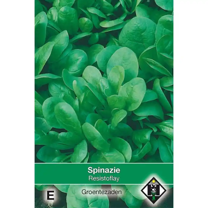 Zeer goed beoordeeld - Spinazie, Spinacea oleracea ‘Resistoflay‘, 35 gr. -zaden-