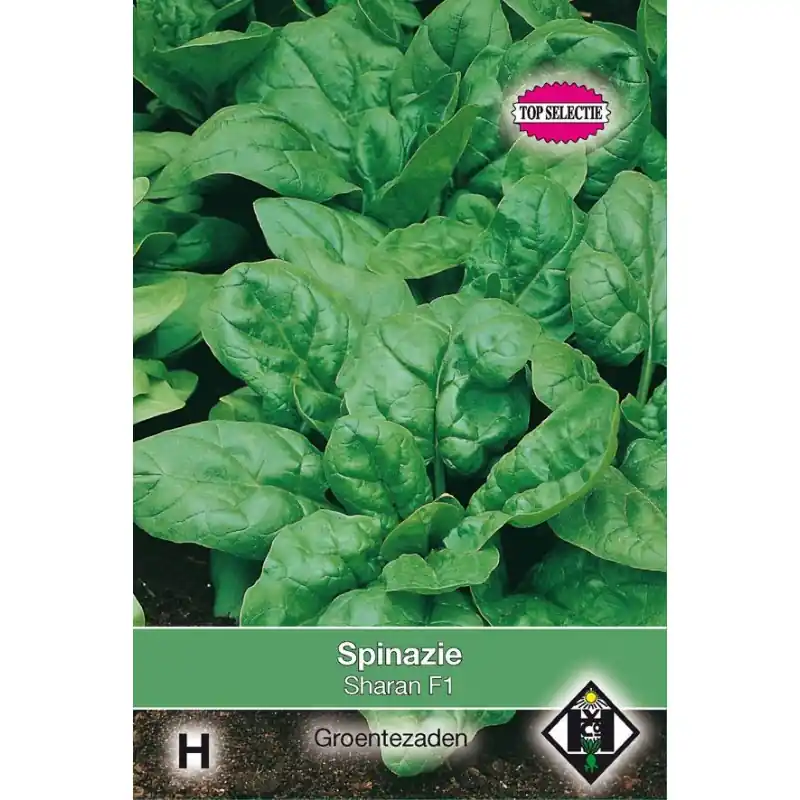 Snelle levering | Spinazie, Spinacia oleracea ‘Regiment F1‘, 1700 zdn. -zaden-