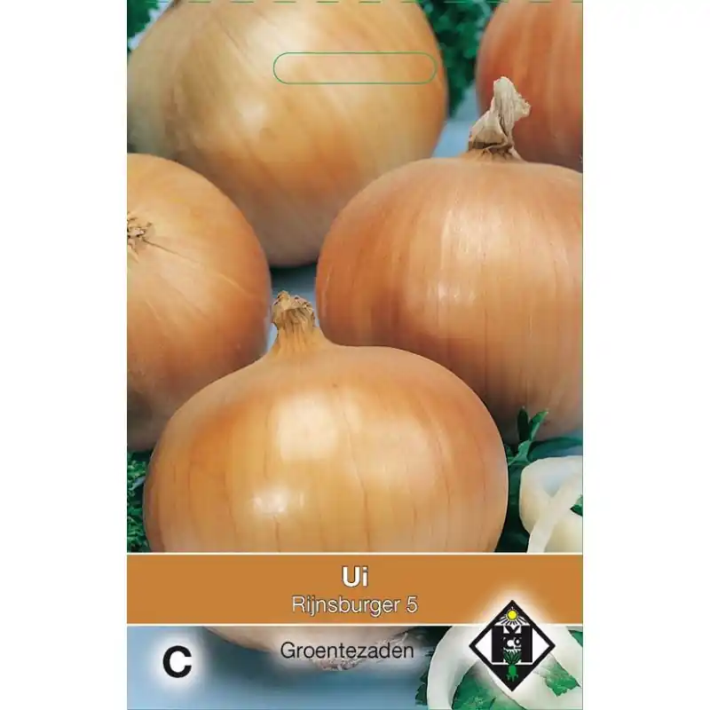 Zaaiui, Allium cepa, ‘Rijnsburger 5‘ -zaden- | Online kopen