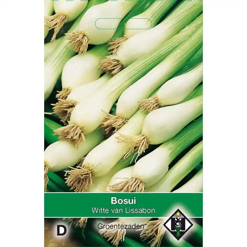 Sale - Bosui, Allium cepa, ‘Witte van Lissabon‘ -zaden-