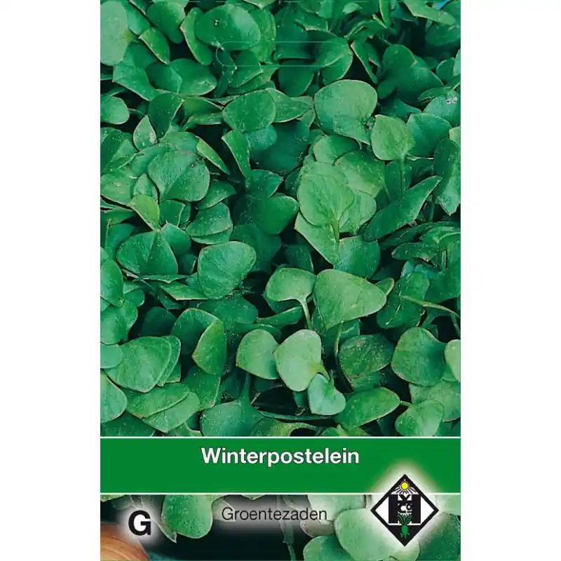 Winterpostelein, Claytonia perfoliata -zaden- | Bespaar nu