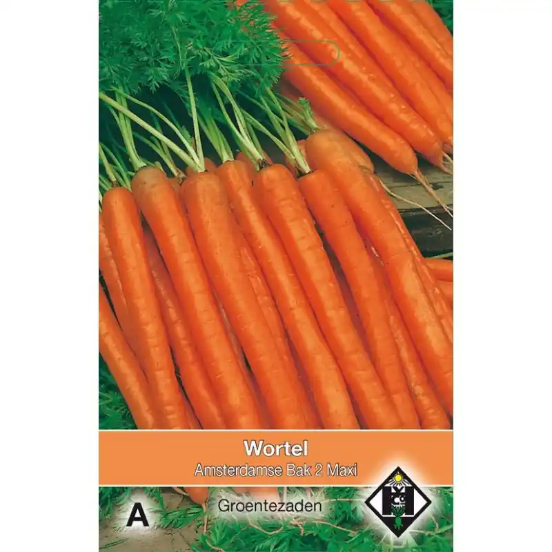 Premiumkwaliteit | Wortel, Daucus carota ‘Amsterdamse Bak 2 Maxi‘ -zaden-