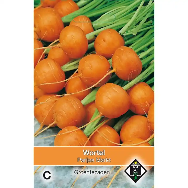 Wortel, Daucus carota ‘Parijse Markt‘ -zaden- - Fabrieksprijs