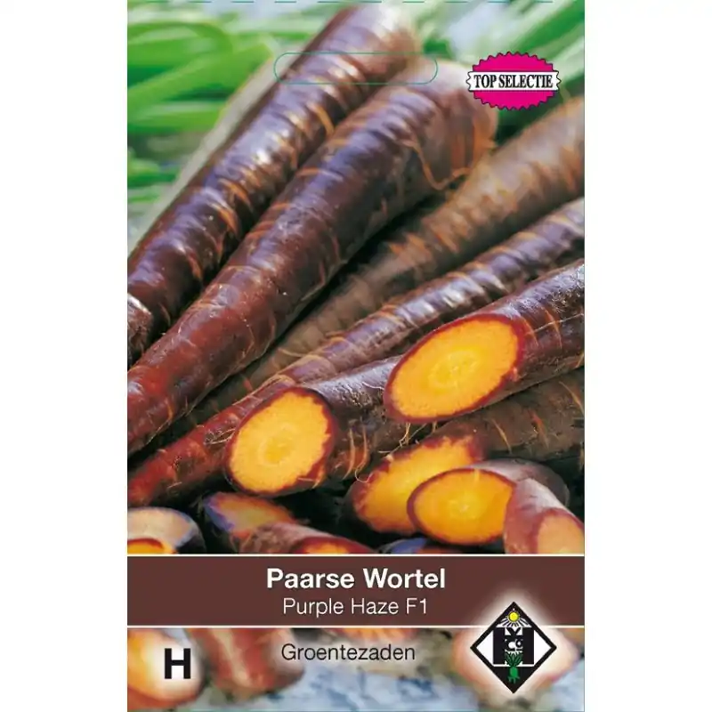 Nu beschikbaar - Wortel, Daucus carota ‘Purple Haze F1‘ -zaden-