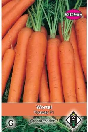 Aanbieding - Wortel, Daucus carota ‘Flyaway F1‘ -zaden-