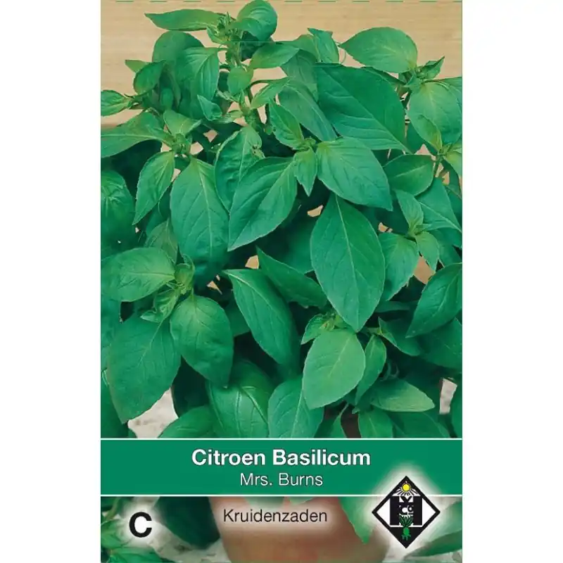 Beste prijs | Citroen Basilicum / Ocimum basilicum ‘Mrs. Burns‘ -zaden-