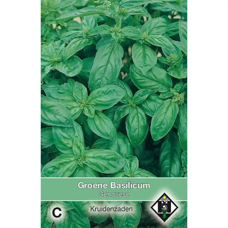 Nog maar een paar beschikbaar | Groene basilicum / Ocimum basilicum ‘Genovese‘ -zaden-