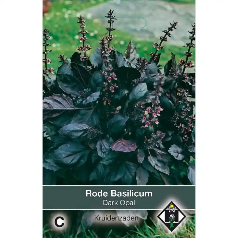 Nu beschikbaar - Rode Basilicum / Ocimum basilicum ‘Dark Opal‘ -zaden-