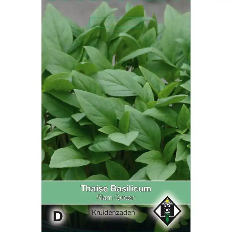 Thaise Basilicum / Ocimum basilicum ‘Siam Queen‘ -zaden- - Prijs verlaagd