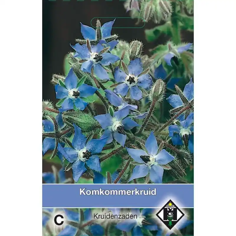 Bernagie / Borago officinalis -zaden- - Bestel nu